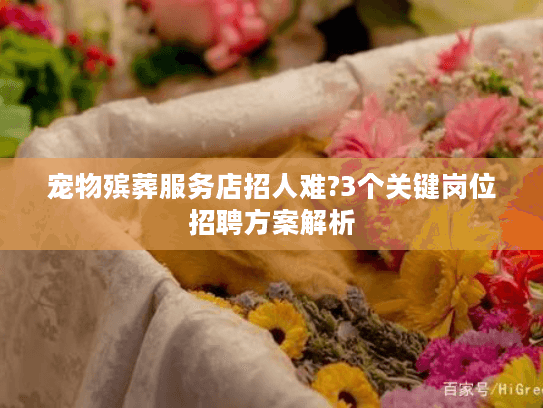 宠物殡葬服务店招人难?3个关键岗位招聘方案解析