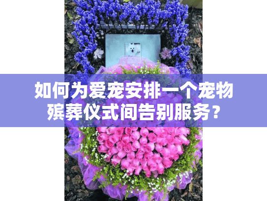如何为爱宠安排一个宠物殡葬仪式间告别服务？
