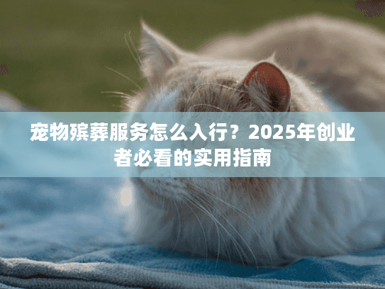 宠物殡葬服务怎么入行？2025年创业者必看的实用指南
