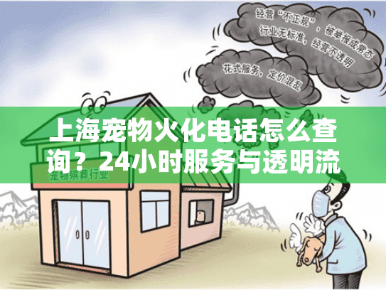 上海宠物火化电话怎么查询？24小时服务与透明流程指南