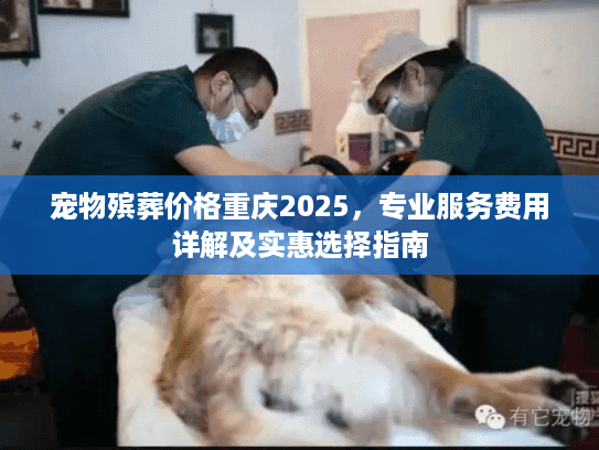 宠物殡葬价格重庆2025，专业服务费用详解及实惠选择指南