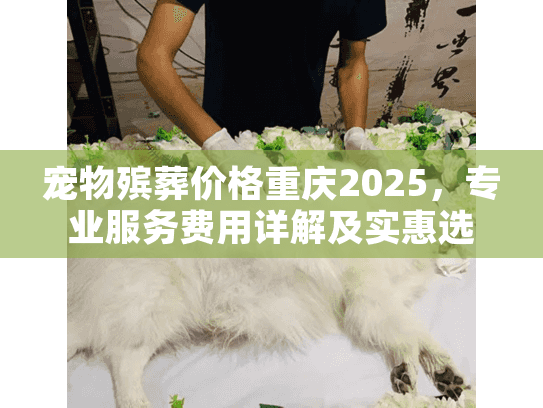 宠物殡葬价格重庆2025，专业服务费用详解及实惠选择指南