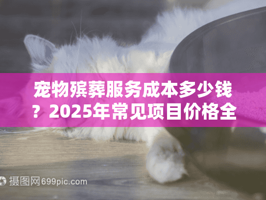 宠物殡葬服务成本多少钱？2025年常见项目价格全解析