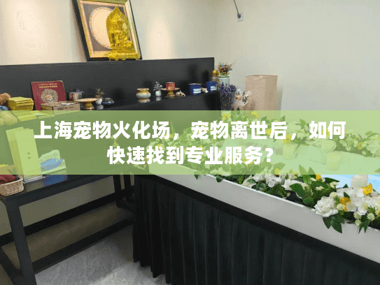 上海宠物火化场，宠物离世后，如何快速找到专业服务？