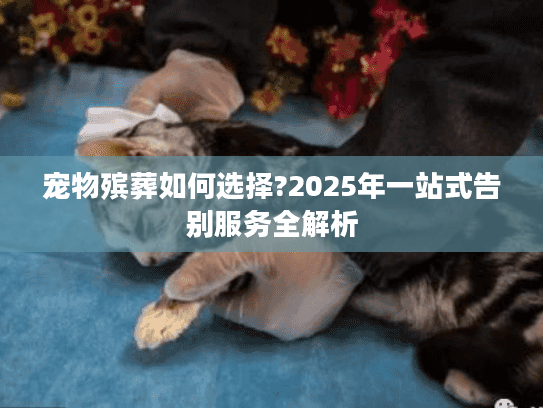 宠物殡葬如何选择?2025年一站式告别服务全解析