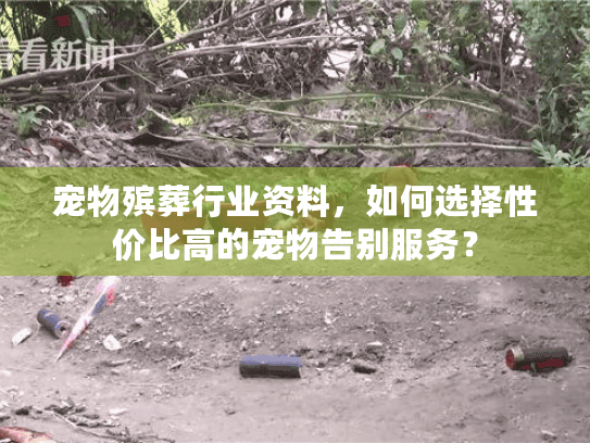 宠物殡葬行业资料,如何选择性价比高的宠物告别服务? 宠物殡葬行业资料,如何选择性价比高的宠物告别服务?
