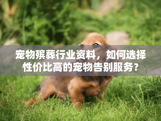 宠物殡葬行业资料,如何选择性价比高的宠物告别服务? 宠物殡葬行业资料,如何选择性价比高的宠物告别服务?