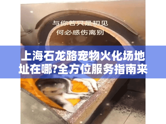 上海石龙路宠物火化场地址在哪?全方位服务指南来了!
