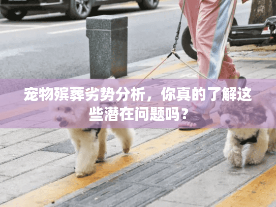 宠物殡葬劣势分析，你真的了解这些潜在问题吗？