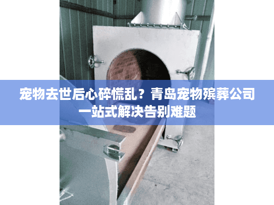 宠物去世后心碎慌乱？青岛宠物殡葬公司一站式解决告别难题