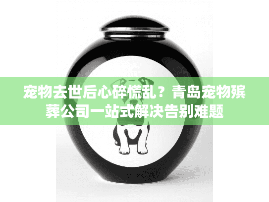 宠物去世后心碎慌乱？青岛宠物殡葬公司一站式解决告别难题