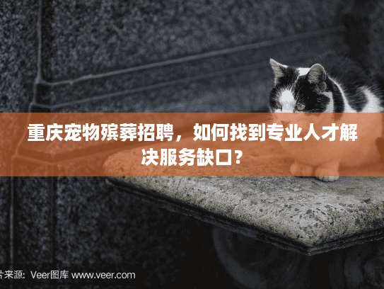 重庆宠物殡葬招聘，如何找到专业人才解决服务缺口？