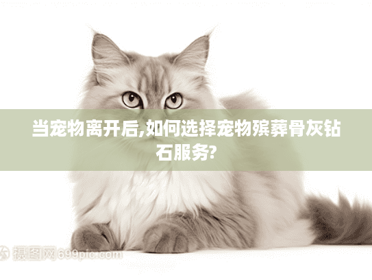 当宠物离开后,如何选择宠物殡葬骨灰钻石服务?