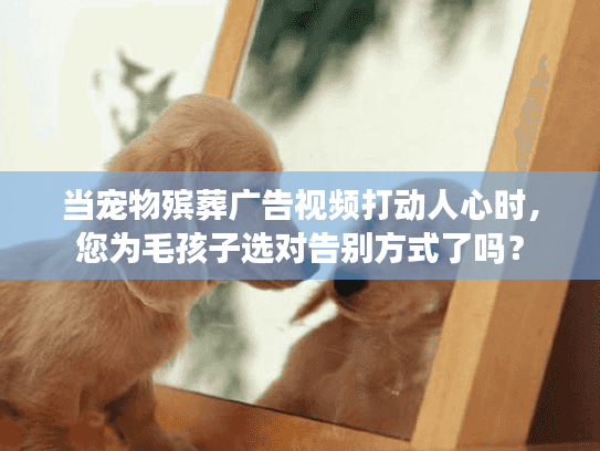 当宠物殡葬广告视频打动人心时，您为毛孩子选对告别方式了吗？