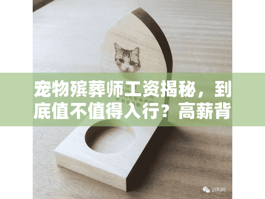 宠物殡葬师工资揭秘，到底值不值得入行？高薪背后有何隐情？