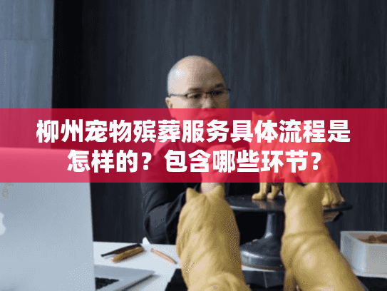 柳州宠物殡葬服务具体流程是怎样的？包含哪些环节？