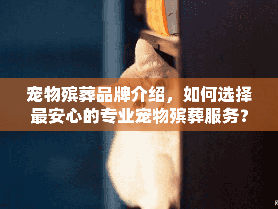 宠物殡葬品牌介绍，如何选择最安心的专业宠物殡葬服务？