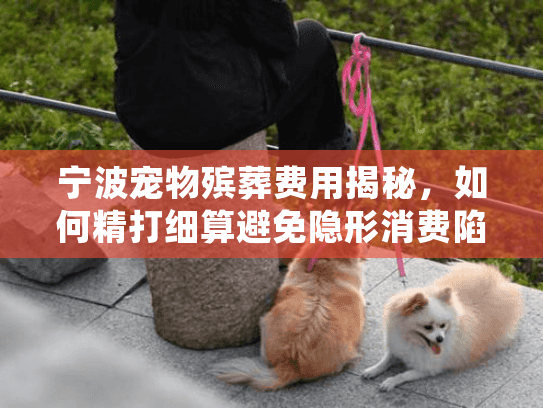 宁波宠物殡葬费用揭秘，如何精打细算避免隐形消费陷阱？