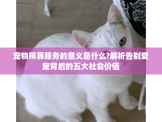 宠物殡葬服务的意义是什么?解析告别爱宠背后的五大社会价值