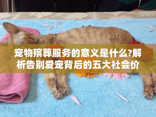 宠物殡葬服务的意义是什么?解析告别爱宠背后的五大社会价值