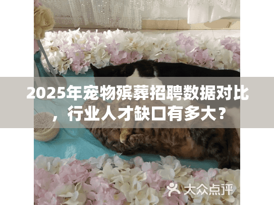 2025年宠物殡葬招聘数据对比，行业人才缺口有多大？
