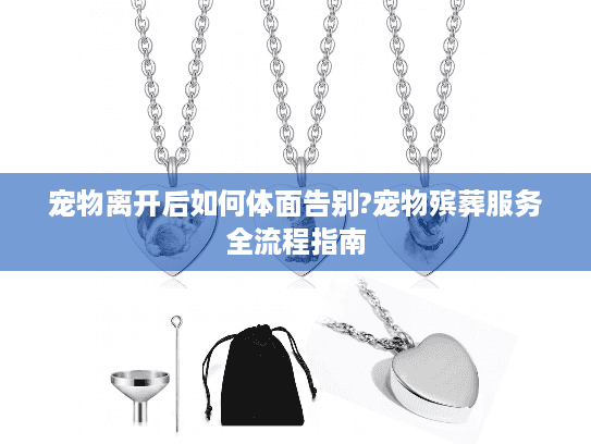 宠物离开后如何体面告别?宠物殡葬服务全流程指南