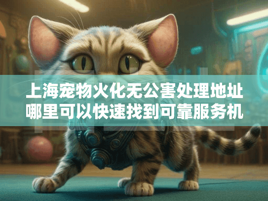 上海宠物火化无公害处理地址哪里可以快速找到可靠服务机构？