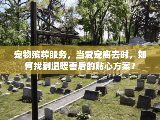 宠物殡葬服务，当爱宠离去时，如何找到温暖善后的贴心方案？