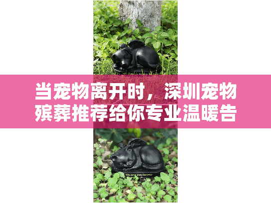 当宠物离开时，深圳宠物殡葬推荐给你专业温暖告别服务