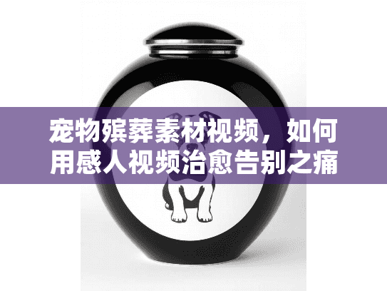 宠物殡葬素材视频，如何用感人视频治愈告别之痛？