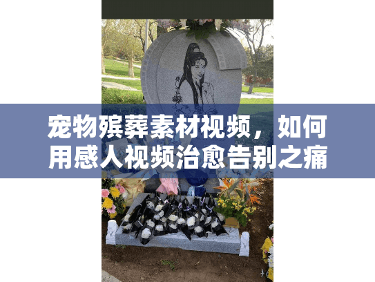 宠物殡葬素材视频，如何用感人视频治愈告别之痛？