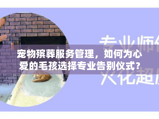宠物殡葬服务管理，如何为心爱的毛孩选择专业告别仪式？