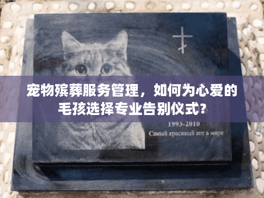 宠物殡葬服务管理，如何为心爱的毛孩选择专业告别仪式？