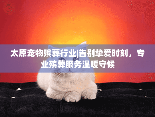 太原宠物殡葬行业|告别挚爱时刻，专业殡葬服务温暖守候