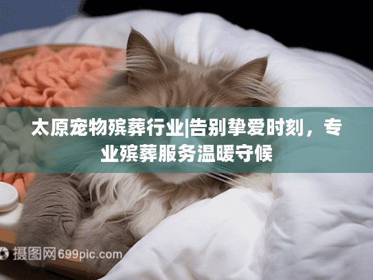 太原宠物殡葬行业|告别挚爱时刻，专业殡葬服务温暖守候