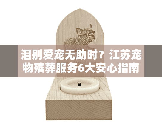 泪别爱宠无助时？江苏宠物殡葬服务6大安心指南