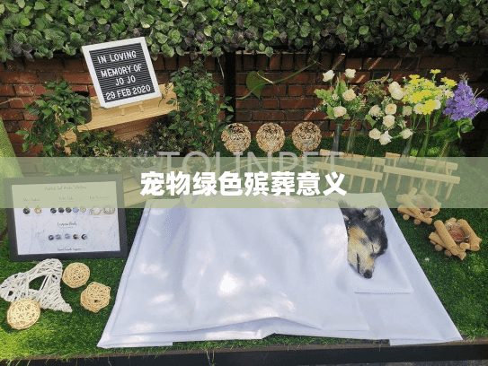 宠物绿色殡葬意义