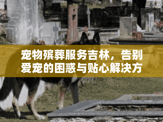 宠物殡葬服务吉林，告别爱宠的困惑与贴心解决方案？