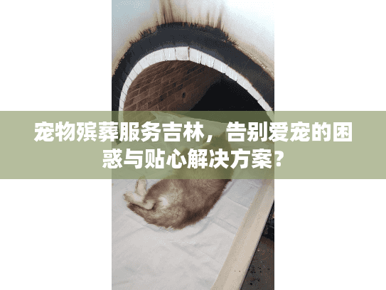 宠物殡葬服务吉林，告别爱宠的困惑与贴心解决方案？