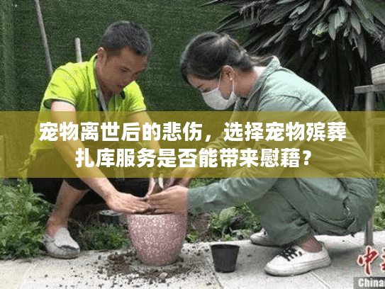 宠物离世后的悲伤，选择宠物殡葬扎库服务是否能带来慰藉？