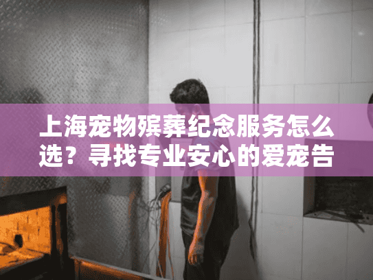 上海宠物殡葬纪念服务怎么选？寻找专业安心的爱宠告别方案