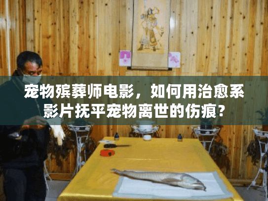 宠物殡葬师电影，如何用治愈系影片抚平宠物离世的伤痕？