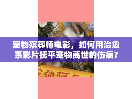 宠物殡葬师电影，如何用治愈系影片抚平宠物离世的伤痕？
