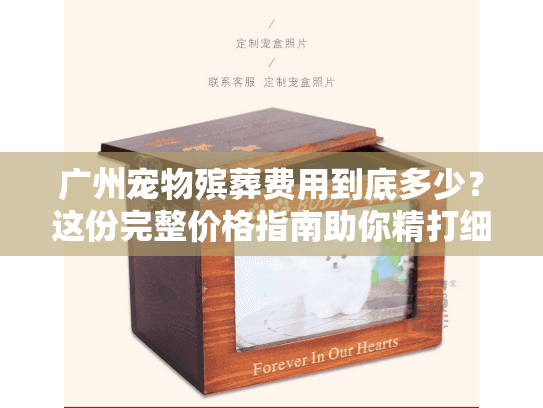 广州宠物殡葬费用到底多少？这份完整价格指南助你精打细算！