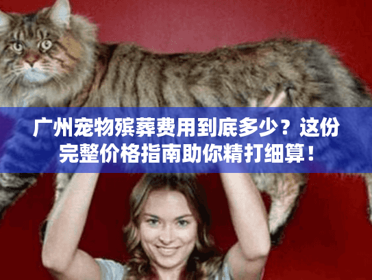 广州宠物殡葬费用到底多少？这份完整价格指南助你精打细算！