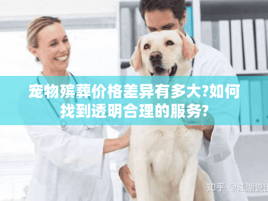 宠物殡葬价格差异有多大?如何找到透明合理的服务?