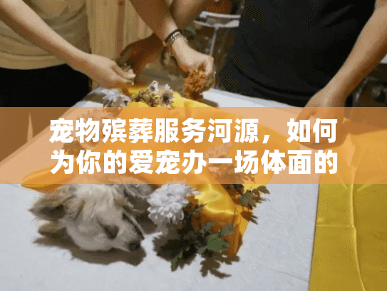 宠物殡葬服务河源，如何为你的爱宠办一场体面的告别仪式？