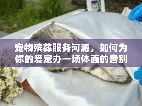 宠物殡葬服务河源，如何为你的爱宠办一场体面的告别仪式？