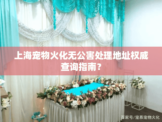 上海宠物火化无公害处理地址权威查询指南？