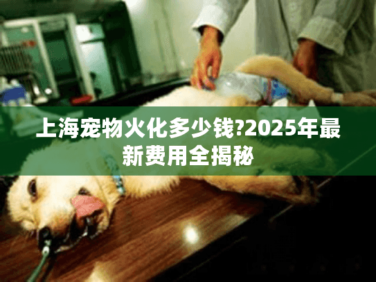 上海宠物火化多少钱?2025年最新费用全揭秘